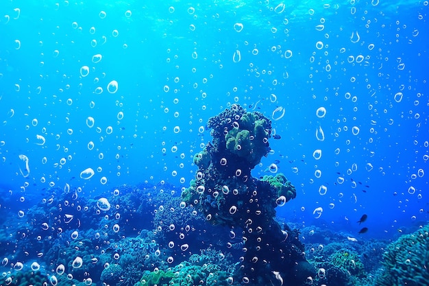 background underwater air bubbles reef / abstract sea background, diving, nature, ocean