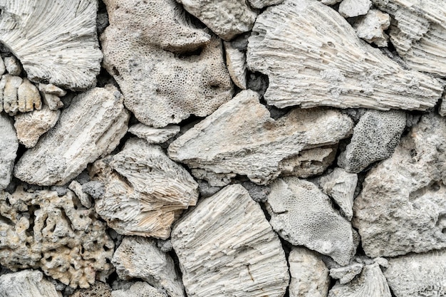 Background wall build from and decorated with seastones ocean sand and coral remains