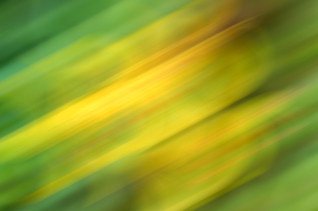 Background wallpaper for decoration and design in yellowgreen tones in soft blurx9