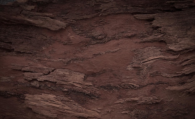 Background walnut bark wood texture Horizontal closeup Rustic