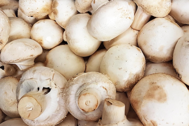 Background of whole champignons mushrooms for sale at farmers market in closeup