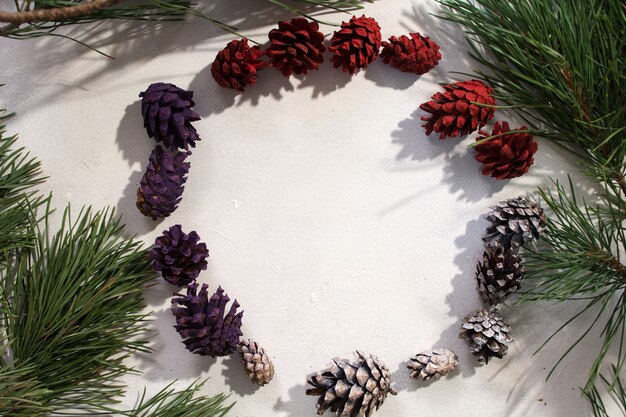 Background of winter decoration. Top view colorful strobilas in circle on white backdrop, pine branch around and free space in middle.