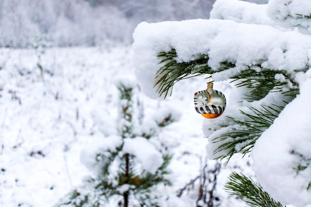 background with Christmas tree toy of sleeping cat on snow covered pine in winter forest copy space