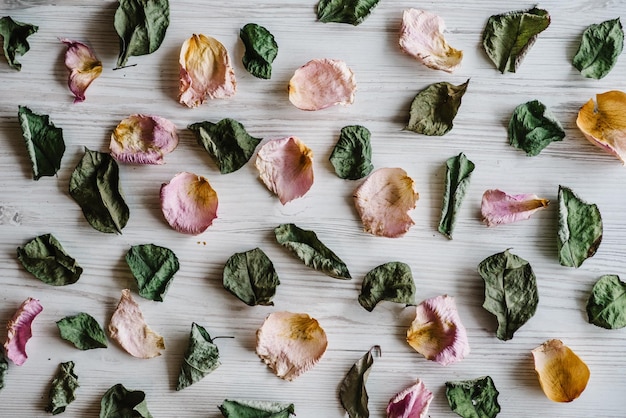 Background with dry rose petals flowers and leaves Flowers composition made of dried rose on white wooden background Flat lay top view copy space Place for text and design