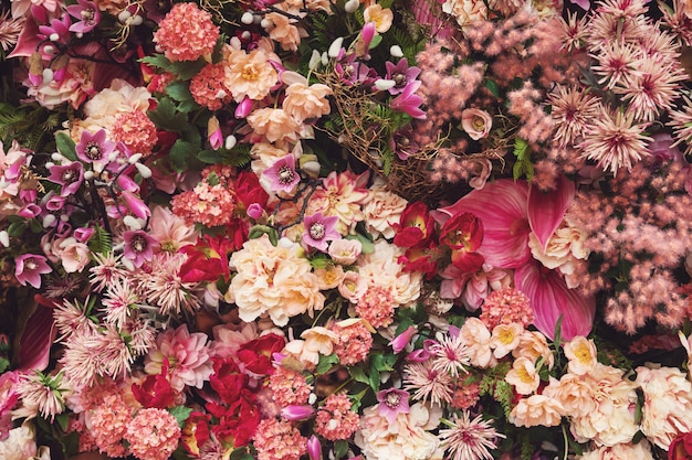 Background  with a lot of different beautiful flowers