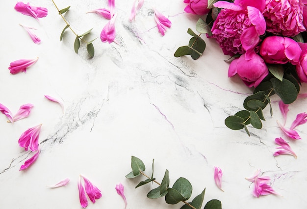 Background with pink peonies