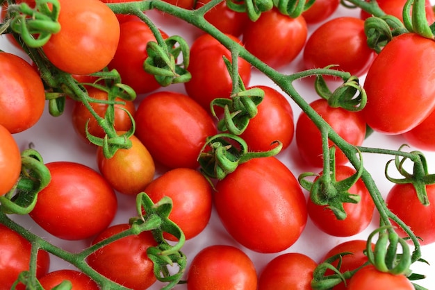 Background with red cherry tomatoes. Red tomatoes macro photo. Lots of red cherry tomatoes.