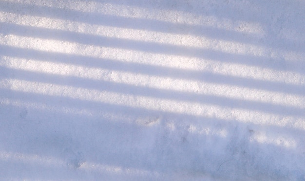 Background with shadows from trees in the snow in sunny cold winter day