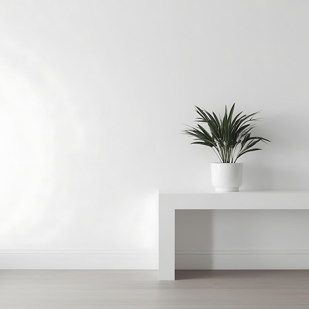 Photo background with simple white walls and elegant plant