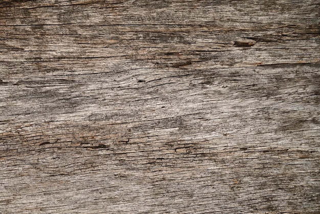 background of wooden bark texture