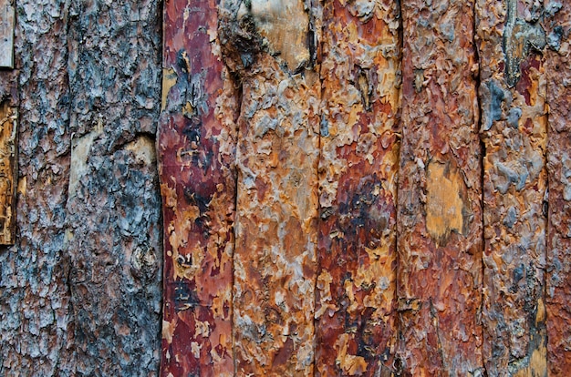 Background of wooden fence made of peeled pine trunks, natural wood texture