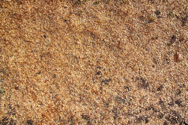 Backgrounds Textured Abstract pile yellow wood chips