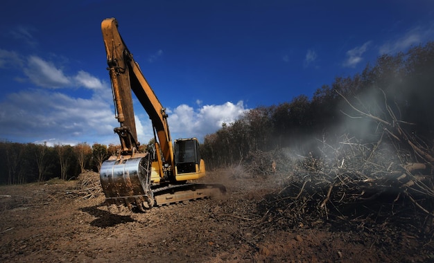 Backhoe working with row of para rubber tree plantation as backgroundDeforestation