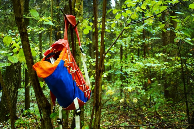 Backpack on a tree