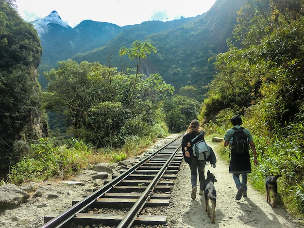 Backpacker couple walking with her dog along the train tracks in the middle of the jungle.