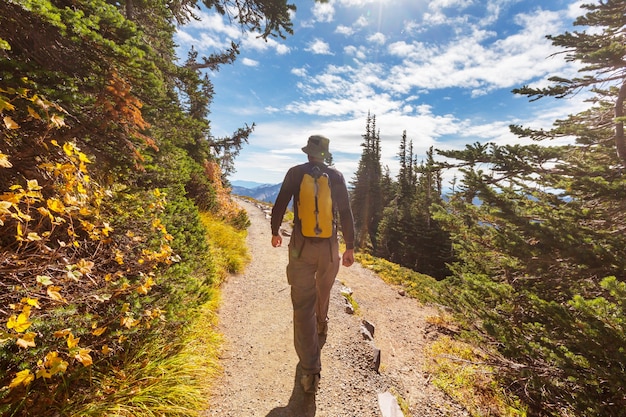 Backpacker in a hike in the summer mountains