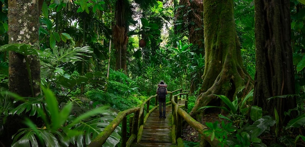 Backpacker in nature