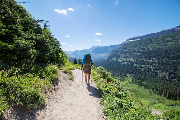 Backpacker in the summer mountains