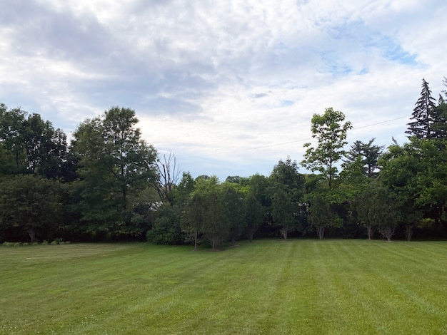 Backyard garden view backyard garden cloudy sky