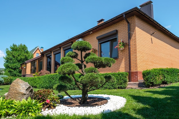 Backyard garden with nicely trimmed bonsai bushes and bushes in front of villa