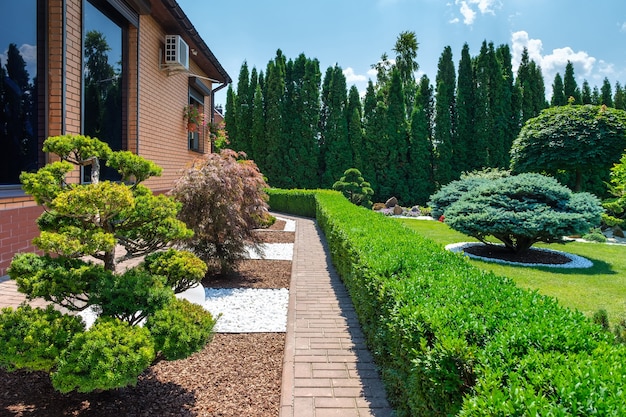 Backyard garden with nicely trimmed bonsai bushes and bushes in side of villa