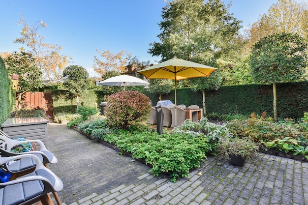 A backyard patio with chairs and umbrellas