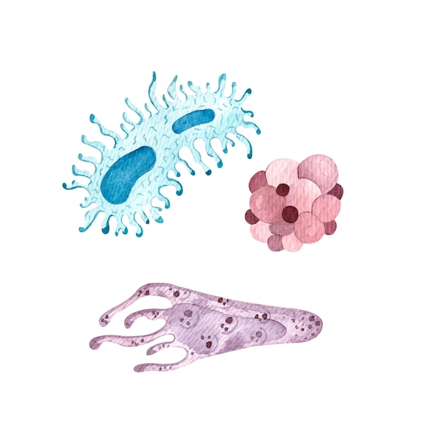 Photo bacteria and microbesinfection medicine hospital watercolor illustration