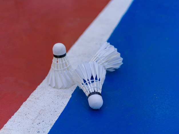 badminton on the Hard Court