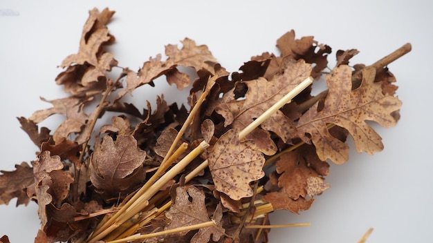 The badnjak veseljak is a tree branch or entire tree that is central to Serbian Christmas celebrations It is placed on a fire on Christmas Eve and its branches are later brought home by worshipers