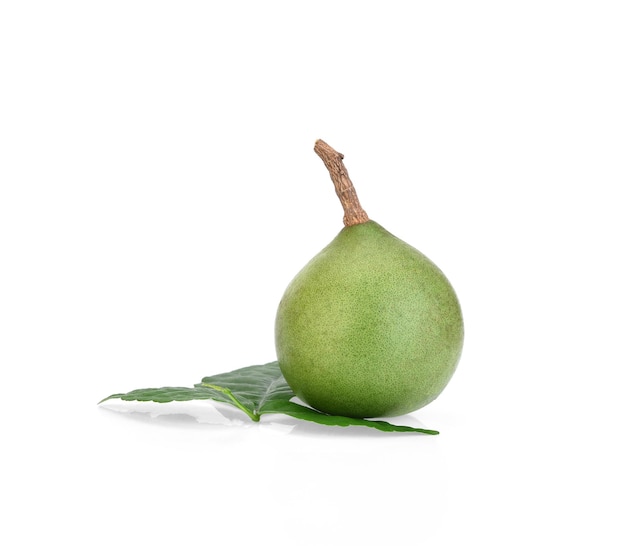 Bael fruits or wood apple fruit (Aegle marmelos) on a white background