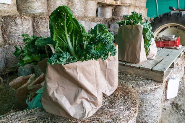 Bags of vegetarian food ready to be sale