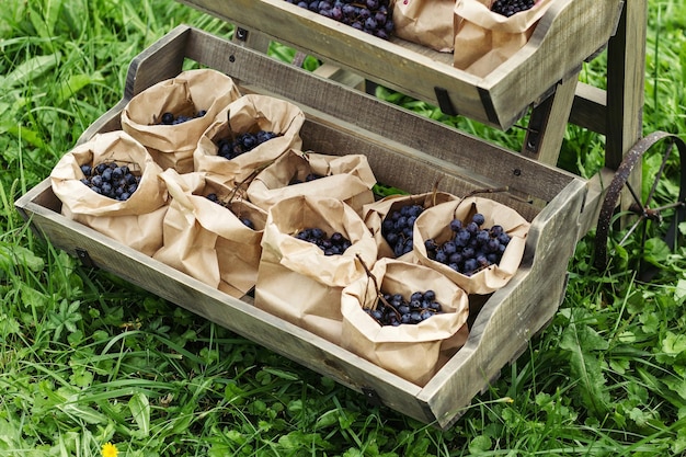 Bags with fresh blueberries lined in a beautiful wooden box Closeup