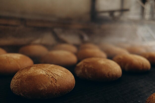 Baked Breads on the production line at the bakery