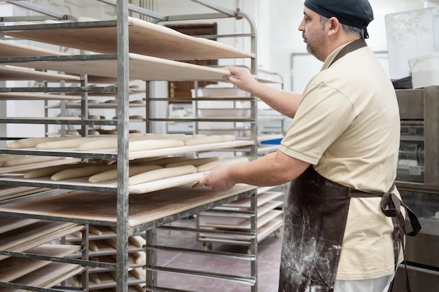 Baker placing tray with formed raw dough on rack trolley ready to bake in the oven High quality photo