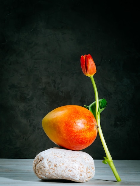 Balance of tulip mango and stone