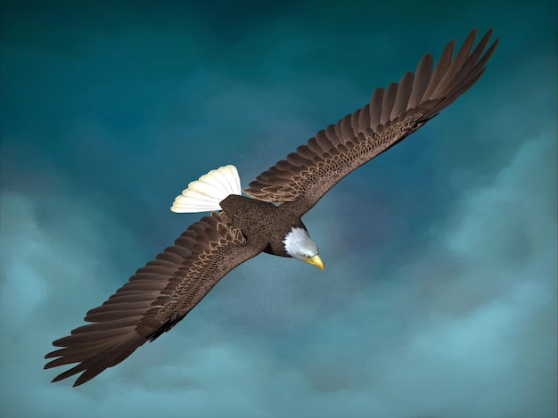 Bald eagle close-up. 3d illustration