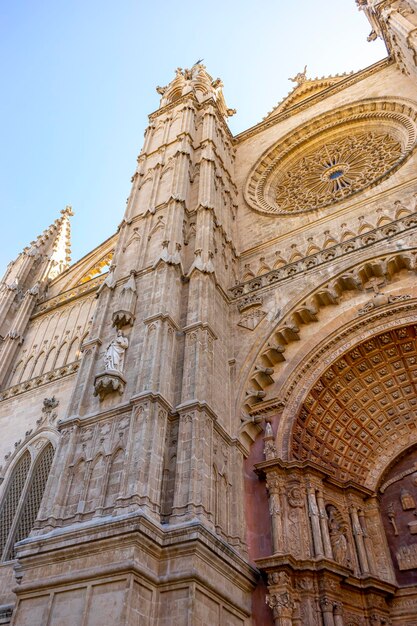 Balearic Beauty The Cathedrals Grandeur in Mallorca