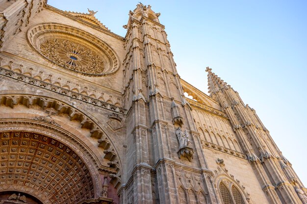 Balearic Beauty The Cathedrals Grandeur in Mallorca