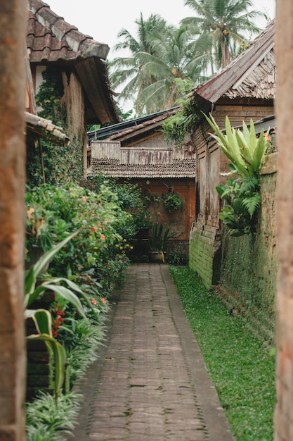 Bali panglipuran traditional village