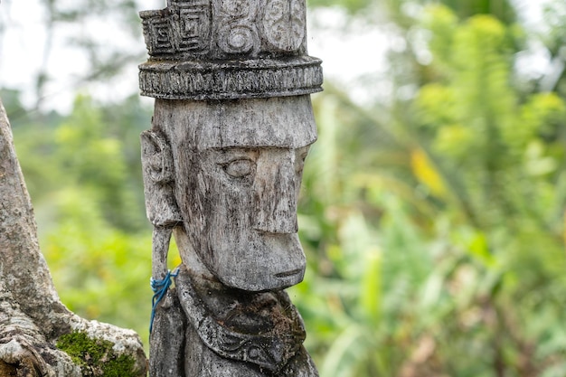 Balinese ancient wooden statue on street in Ubud island Bali Indonesia These figures of the gods protect the house from evil spirits Closeup