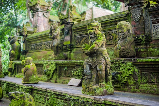 Balinese temple covered with moss, Indonesia