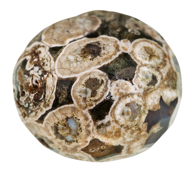 Ball from Madagascar Rhyolite turritella agate