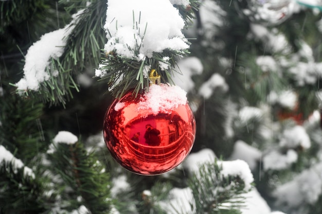 Ball in the snow on the Christmas tree