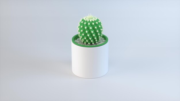 Photo ballshaped cactus in a white pot with green edging against on a soft gray studio background minima