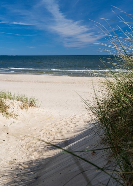 Baltic sea dunes on the beach sea