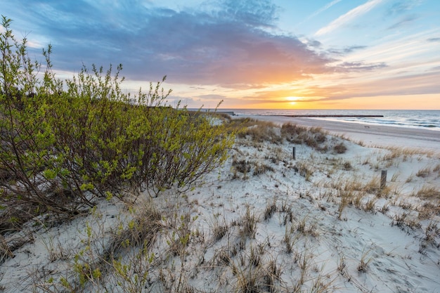 Baltic sea and dunes at sunset