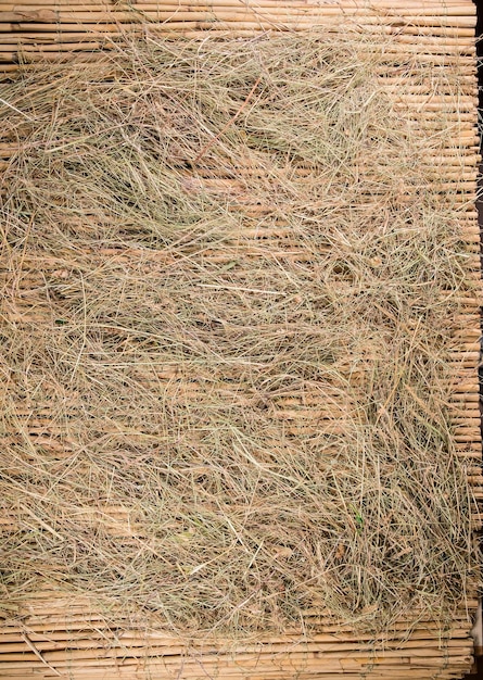 Bamboo background, hay on bamboo, farm