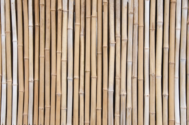 Bamboo background