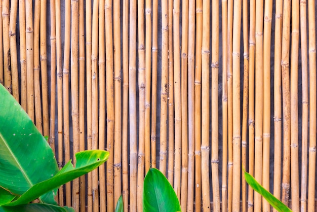 Photo bamboo fence background