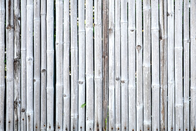 Bamboo fence wall and texture.